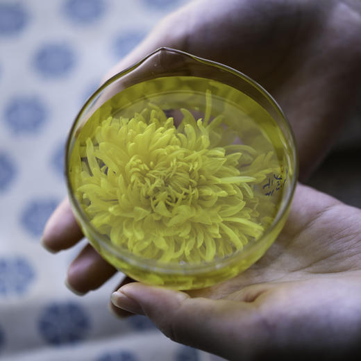 修水金丝皇菊 一朵一杯 温调慢养 菊花茶养生茶绿色食品 商品图4