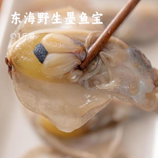 东海野生墨鱼宝 | 特级品质 舟山野生 鲜活捕捞 咸香美味 干净无沙 自然本味的鲜美 商品图0