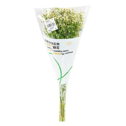 洋甘菊 /束 商品图1