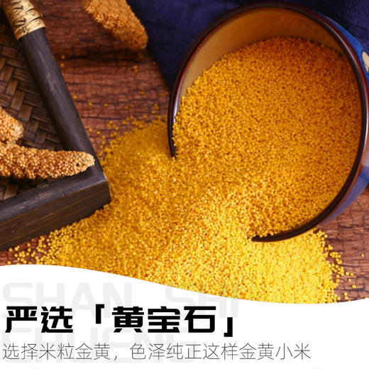 金汤小米辽参 | 甄选优质辽参小米 深海珍品与养胃谷物的鲜醇滋补 即享高端养生体验 商品图3