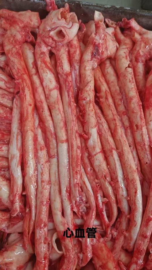 蒲城大红门精加工：鲜心血管 商品图0