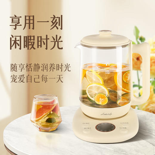 小画仙养生壶LYSH-1805E 商品图1