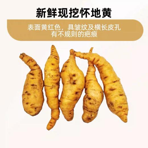 新鲜怀地黄新鲜现挖新鲜地髓3斤（生鲜） 商品图0