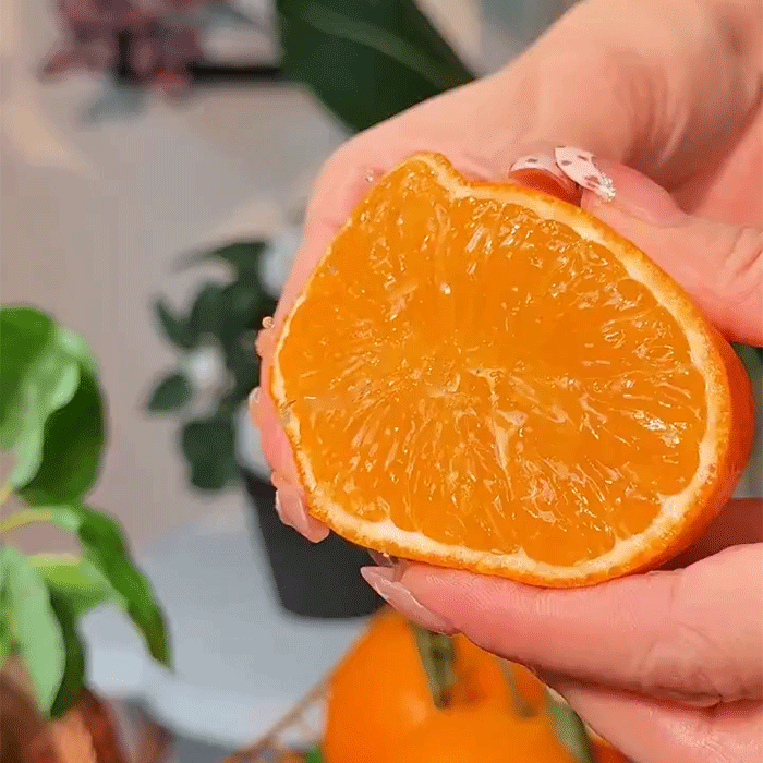 【顺丰发货】四川爱媛38号果冻橙
