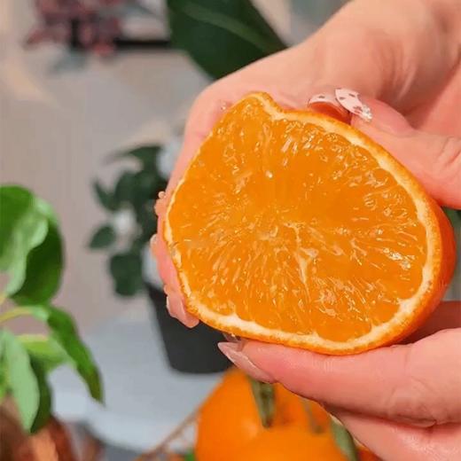 【顺丰发货】四川爱媛38号果冻橙 商品图0