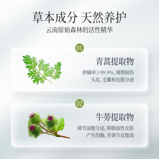 征服800ml 新升级 征服青蒿除螨生姜养护洗发水，滋养头皮，强韧发根润肤沐浴露，护发素改善脆弱发质、受损发丝 青蒿固发柔顺洗发系列 商品图4