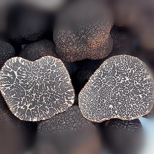 新鲜黑松露  云南深山野生自然成熟【顺丰包邮】 商品图1