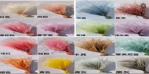 羽毛草-永生花 商品图0