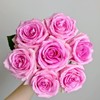 苏醒(玫瑰花)约 10支/束 商品缩略图0