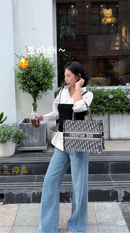 Dior book tote 老花 黑色 中号 托特包 商品图4
