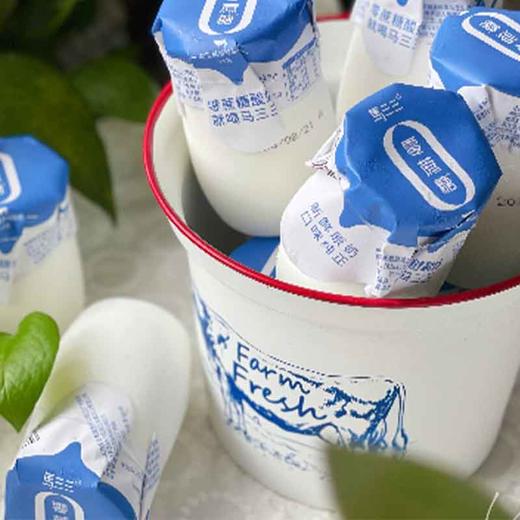 马三三·零蔗糖新疆酸奶180g*12罐  天山奶源 醇厚酸乳 商品图1