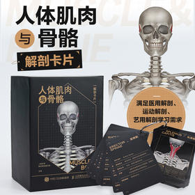人体肌肉与骨骼解剖卡片 运动骨骼肌肉解剖学 运动解剖图谱