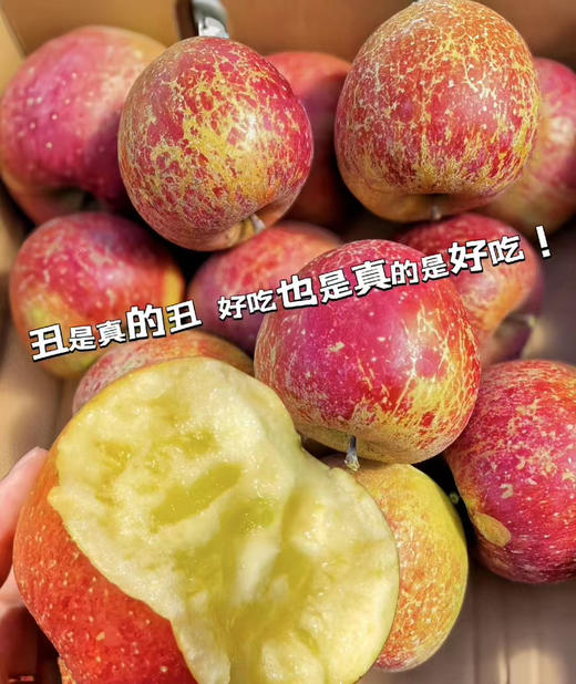 云南素颜丑苹果 4-4.5斤（9枚礼盒装） 商品图0