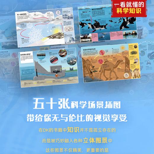 【正版DK科普绘本】DK生命周期 DK水百科 儿童生命教育  儿童百科全书  小学生科普书  跨学科知识  亲子共读 商品图6
