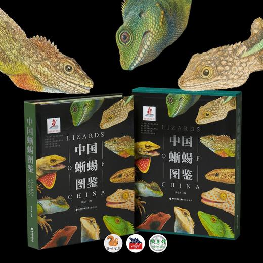 《中国蜥蜴图鉴》限定特装版特别版 海峡书局 顽主驿【官方正版 48小时发货】 商品图0