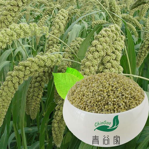 青谷家 黑小米 700g/盒 商品图2