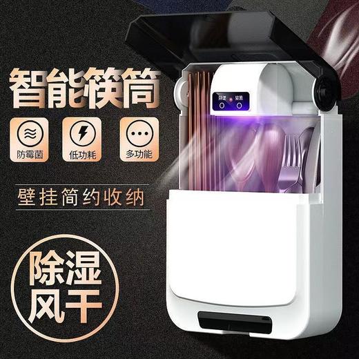 消毒筷子筒防尘防霉家用快子收纳盒壁挂式多功能装筷笼新款置物架 商品图0