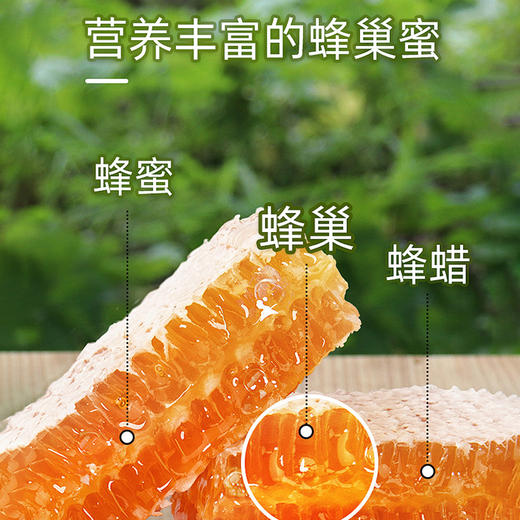 两当狼牙蜜旅行装 520g/盒 商品图4