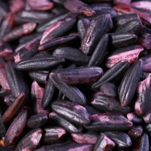 有机紫米389g有机杂粮有机种植紫米口感软糯满额包邮 商品图2