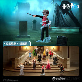 POP MART 泡泡玛特哈利波特与火焰杯系列手办盲盒