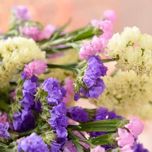勿忘我鲜花花束/ 束 商品图1