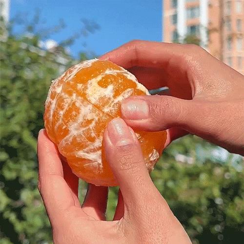 【顺丰发货】四川爱媛38号果冻橙 商品图1