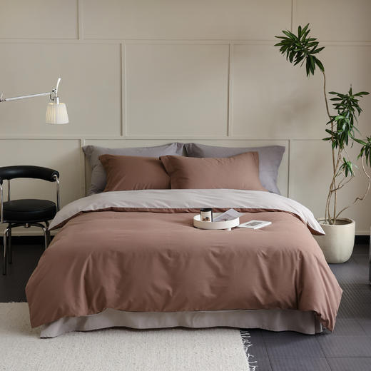 100S超柔长绒棉磨毛四件套【冬季床品专场】 商品图3