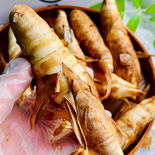 广东茂名竹薯 长得像姜 比鸡腿还好吃 炒菜/煲汤/甜汤均可 商品图2