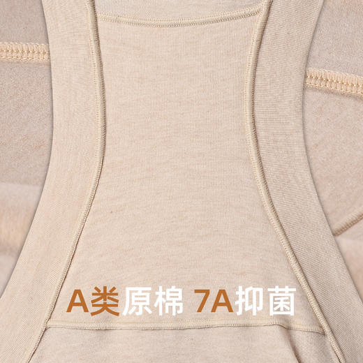 布冇有机棉女士平角内裤 高腰中腰经典四角裤 商品图3