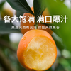 【脆蜜金柑】核心产区直发  果皮光滑有光泽 保留天然果香  1.8斤/2.5斤 礼盒装  顺丰直达 商品缩略图0
