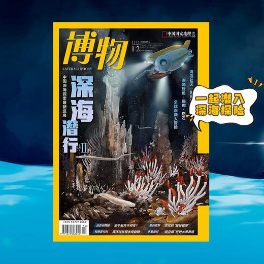 【深海潜行2】 博物杂志2025年12期/月刊  自然月历·珠海篇/西藏波密的大紫胸鹦鹉 商品图2