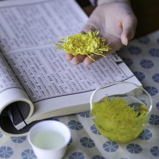 修水金丝皇菊 一朵一杯 温调慢养 菊花茶养生茶绿色食品 商品图7