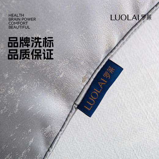 罗莱软装 璀璨星空高级灰抱枕 商品图4