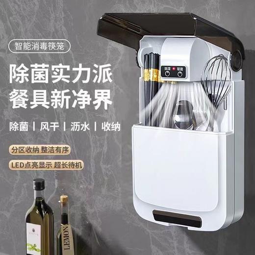 消毒筷子筒防尘防霉家用快子收纳盒壁挂式多功能装筷笼新款置物架 商品图3