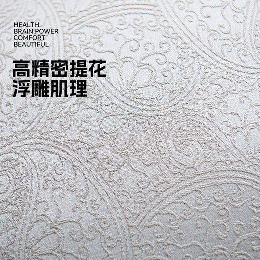 罗莱软装 璀璨星空高级灰抱枕 商品图1