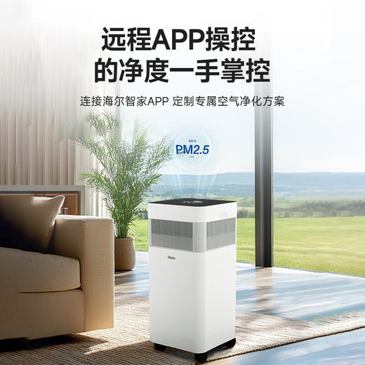 海尔（Haier）空气净化器家用除甲醛除螨宠物吸猫毛家庭智能负离子除苯除尘除过敏源办公室去烟异味KJ900F 商品图0