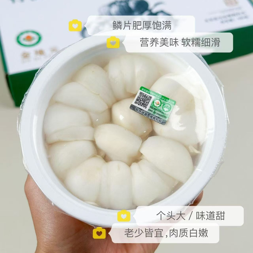 【限量有机养生鲜百合】当季鲜挖，天然美味，养生佳品无公害种植有机美味