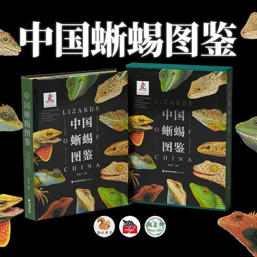 《中国蜥蜴图鉴》限定特装版特别版 海峡书局 顽主驿【官方正版 48小时发货】 商品图4
