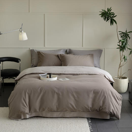 100S超柔长绒棉磨毛四件套【冬季床品专场】 商品图0