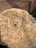 Jellycat巴塞罗熊渔夫帽 商品缩略图10