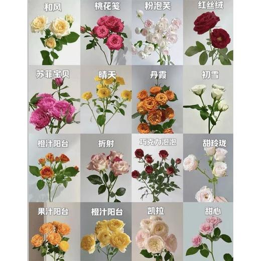 多头玫瑰  约5支/束 （颜色随机） 商品图0