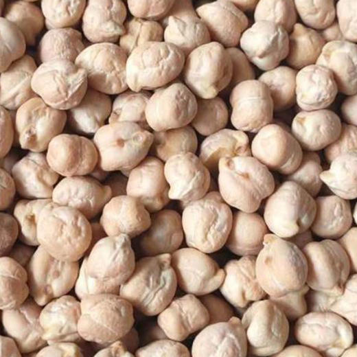 有机鹰嘴豆389g打豆浆米饭伴侣有机粗粮满额包邮 商品图2