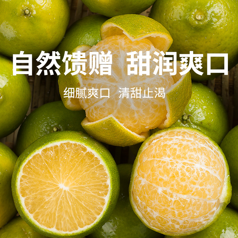 【皇帝柑】核心产区直发 果园现摘 果肉细嫩易吸收 补充营养优选 3-5斤（果径：60-65mm）