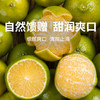 【皇帝柑】核心产区直发 果园现摘 果肉细嫩易吸收 补充营养优选 3-5斤（果径：60-65mm） 商品缩略图0