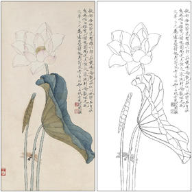 工笔画白描底稿于非闇花鸟荷花《荷花蜻蜓》临摹勾线高清打印稿FA50
