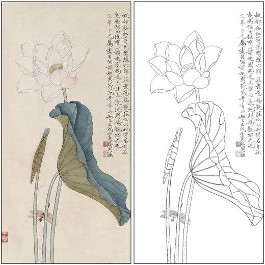 工笔画白描底稿于非闇花鸟荷花《荷花蜻蜓》临摹勾线高清打印稿FA50 商品图0