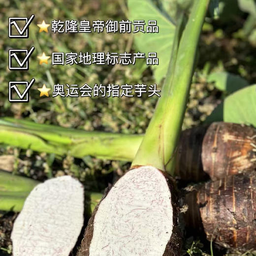 【荔浦芋头】大果饱满 粉糯不柴 蒸煮后香甜软糯 老少皆宜 3-5斤特大果（1.4-1.8斤/个） 商品图3