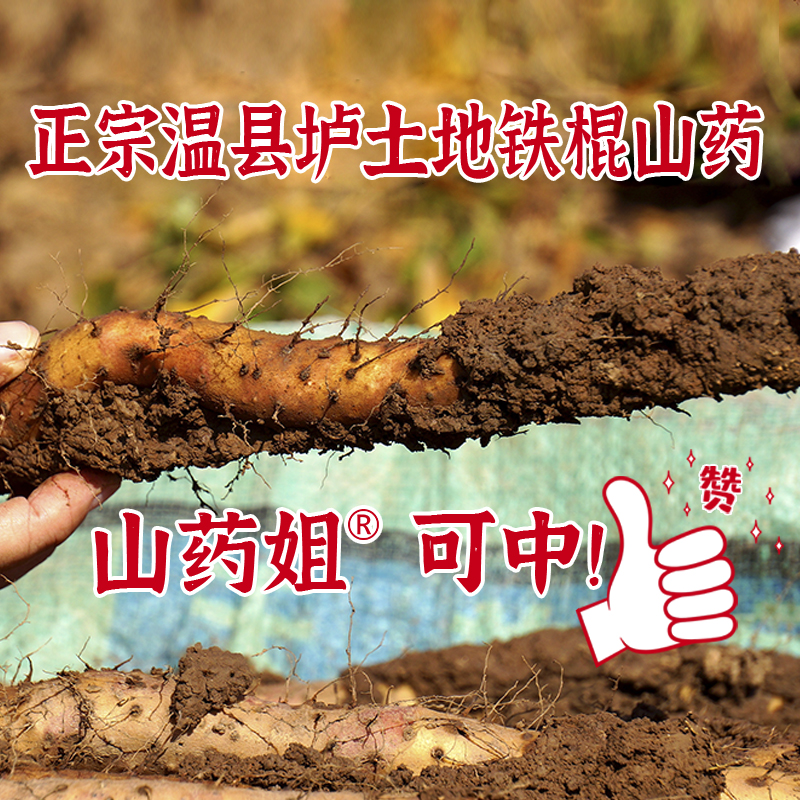 山药姐温县垆土铁棍山药 自有基地 人工采收 肉质洁白细腻 蒸煮炖营养健康