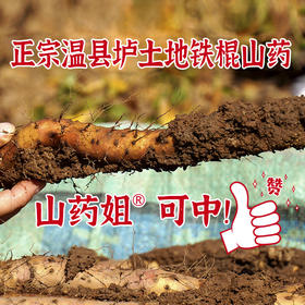 山药姐温县垆土铁棍山药 自有基地 人工采收 肉质洁白细腻 蒸煮炖营养健康