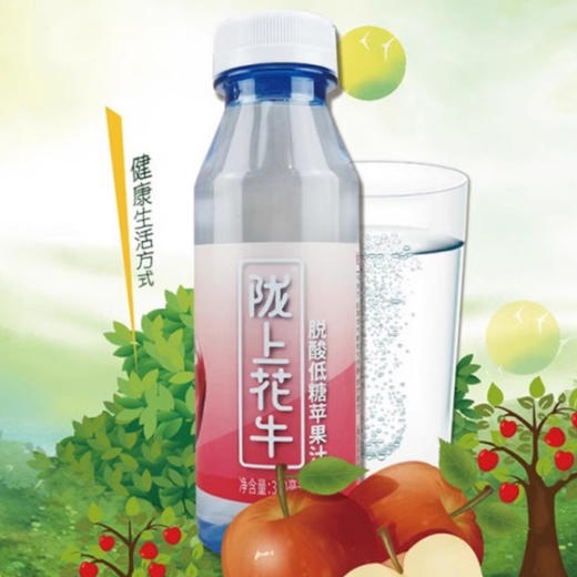 陇上花牛 脱酸低糖苹果汁 300ml/瓶 商品图0